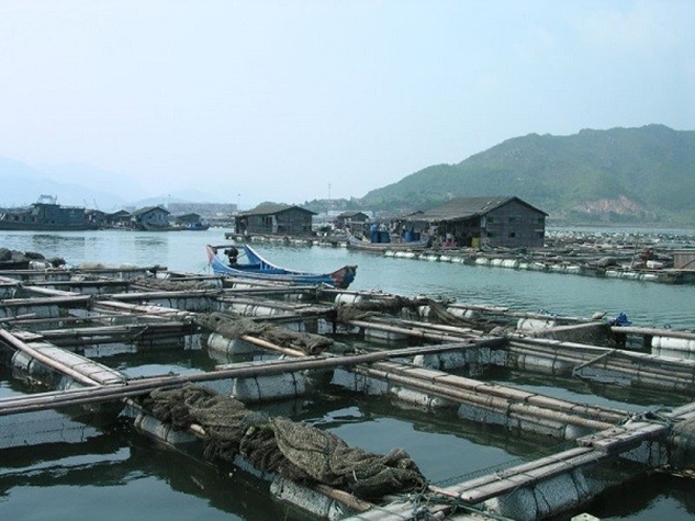naidunia_image